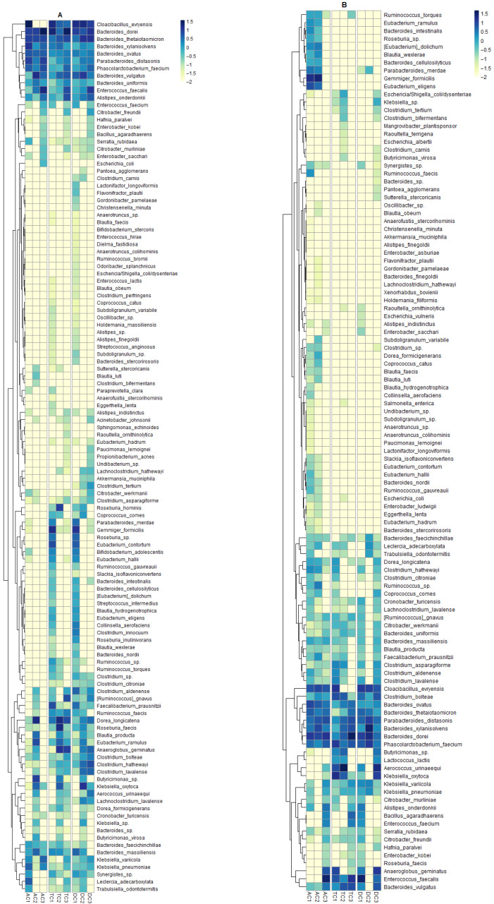 Heatmap illustrating relative abundance of gut bacteria at a species level in the different compartments of SHIME® colon: (A)—mucin layer and (B)—colon lumen; AC1, TC1, and DC1—samples after stabilization; AC2, TC2, and DC2—samples after treatment; AC3, TC3, and DC3—samples after wash-out (AC—ascending colon, TC—transverse colon, and DC—descending colon).