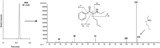 GC–EI-MS-SCAN chromatogram of the analyzed seized material (only one peak was observed) and EI mass spectrum of the identified compound (N-ethylhexedrone) with its fragmentation pattern (only main fragments are marked).