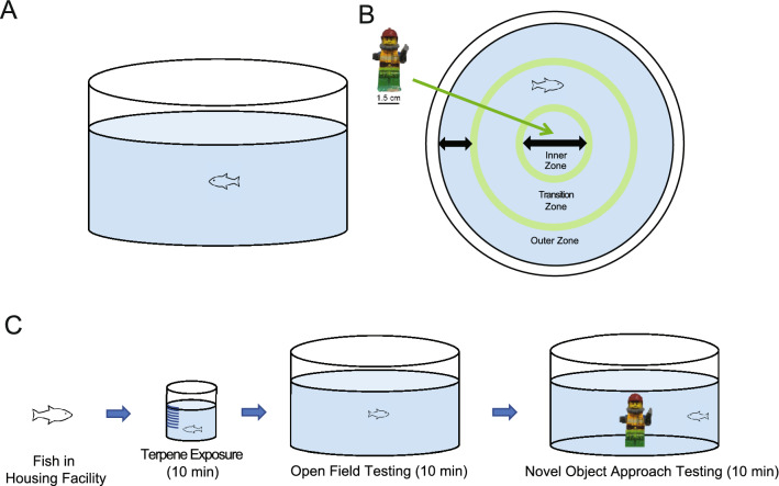 Testing Apparatus. (A) The open field testing arena consisted of a white plastic cylinder (26.0 cm in diameter) filled to a water depth of 5.0 cm. (B) For the novel object approach test, a multicoloured Lego figurine with a height of 4.25 cm was affixed to the center of the open field arena using a ′1 × 2′ Lego brick. The test arena was partitioned into three zones in EthoVision XT motion tracking software (inner, transition, and outer zones). (C) Diagram of experimental procedure: Individual fish were netted from the housing facility into a dosing beaker for 10-min of terpene exposure, then transferred to the open field arena. After a 10-min trial in the open field test, a Lego figurine was placed into the center of the arena for the 10-min novel object approach test trial.