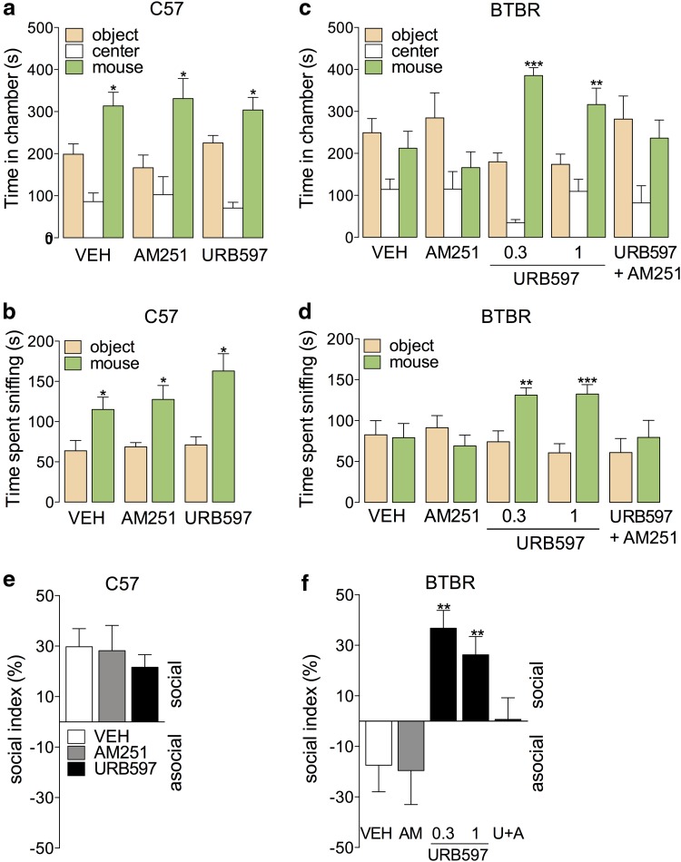 Anandamide activity at CB1 receptors corrects social approach impairment in BTBR mice. (a, b) Time spent in chamber (a) or sniffing (b) by C57Bl6J mice in the three-chambered social approach assay after treatment with the CB1 inverse agonist AM251 (2 mg kg−1, i.p.) or the FAAH inhibitor URB597 (1 mg kg−1, i.p.). (c, d) Chamber and sniffing times of BTBR mice treated with AM251 (2 mg kg−1, i.p.), URB597 (i.p.), or AM251 and URB597 in concert. (e, f) Social index, calculated as (social chamber time–object chamber time)/(total side-chamber time). Results are expressed as mean±SEM. (a–f) n=12–16. (a–d) Student's t-test, comparing object to social, or VEH to URB597; (e, f) one-way ANOVA with Tukey's post hoc test, comparing to VEH. *p<0.05, **p<0.01, ***p<0.001. ANOVA, analysis of variance; FAAH, fatty acid amide hydrolase.