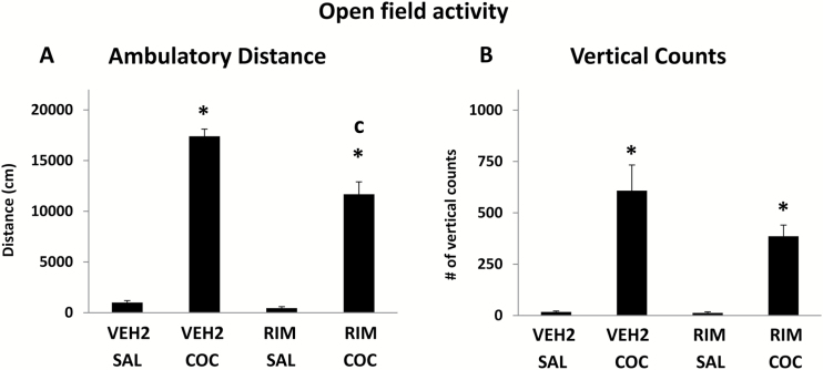 Effects of rimonabant on cocaine-stimulated motor activity. (A) Horizontal motor activity. The bars represent mean + SEM of the ambulatory distance (cm). (B) Vertical motor activity. The bars represent mean + SEM of the number of vertical counts. COC, 20 mg/kg cocaine; RIM, 3 mg/kg rimonabant. *Compared with respective vehicle treatment, C compared with cocaine (VEH2+COC).