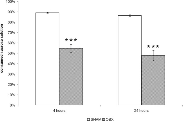 OBX rats display anhedonia. The sucrose preference test in SHAM (n = 6) and OBX (n = 7) Lister Hooded rats. Data are percentages (±s.e.m.) of sucrose solution consumed at two time-points, i.e., after 4 and 24 h from the beginning of the test. Student t-test, ***p < 0.001.
