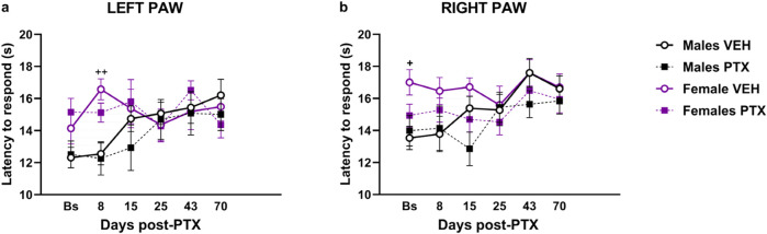 Hargreaves’ test. Investigation of heat hypersensitivity in male and female rats following Paclitaxel (PTX) or vehicle (VEH) intraperitoneal injections from Baseline (Bs) to day 70. Left (A) and right (B) latency to the first response after heat stimulation. Two-way repeated measure ANOVA followed by Tukey HSD (Honest Significant Difference) post hoc. Data expressed as mean ± S.E.M (n = 10 per group) + p < 0.05, ++ p < 0.01 Females VEH vs. Males VEH.