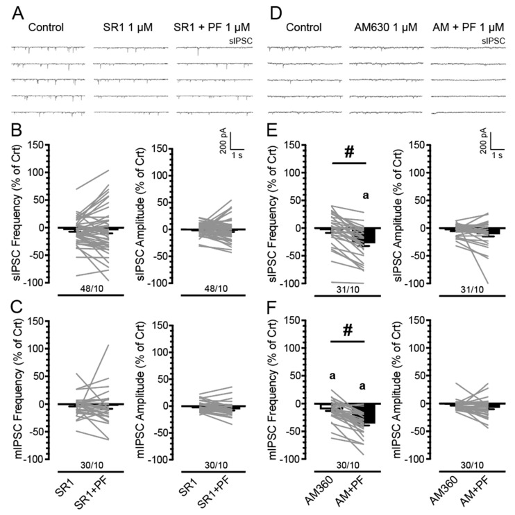 PF3845 effects on the frequency and amplitude of IPSCs (% of control) in mPFC neurons are blocked by CB1R antagonist SR141716A but not CB2R antagonist AM630. No significant effects were noted for sex and genotype on any sIPSC measure (% of control) and are therefore collapsed across. (A) Representative traces show sIPSCs before and after SR141716A (1 µM) ± PF3845 (1 µM) application. (B) No significant differences on sIPSC frequency and amplitude (% of control) were noted between the SR141716A alone and SR141716A in combination with PF3845 conditions, indicating the CB1R antagonist SR141716A was able to block the downregulating effects of PF3845 on sIPSCs. Further, both conditions were not significantly different from control condition (0%). (C) Similarly, no significant effects were noted on the mIPSC frequency and amplitude (% of control). (D) Representative traces show sIPSCs before and after AM630 (1 µM) ± PF3845 (1 µM) application. (E) There was a significant difference between AM630 alone and AM630 in combination with PF3845 conditions on sIPSC frequency (% of control), indicating pretreatment of AM630 did not prevent the PF3845-induced decreases in the mean frequency of sIPSCs (% of control). This is supported by a significant downregulation of sIPSC frequency for the AM630 in combination with PF3845 condition compared to control (0%), which was not seen for the AM360 alone condition. No significant effects were noted on sIPSC amplitude (% of control). (F) Similarly, pretreatment of AM630 did not block the downregulating effects of PF3845 on mIPSC frequency and both conditions significantly decreased mean mIPSC frequency compared to control (0%). No significant effects were noted on mIPSC amplitude (% of control). Data are percent of control data (mean ± SEM) collapsed across sex and genotype. Statistical significance was assessed by ANOVA followed by Bonferroni’s post hoc test; # p < 0.05. One-sample t-tests with Bonferroni correction assessed significant changes from control condition (0%), a p < 0.05 vs. control (before treatment, 0%). In all panels, sample size is indicated as (cells/mice); please see Supplemental Table S1 for specific information on sample size for sex and genotype. SR1, SR141716A; PF, PF3845; AM, AM630.
