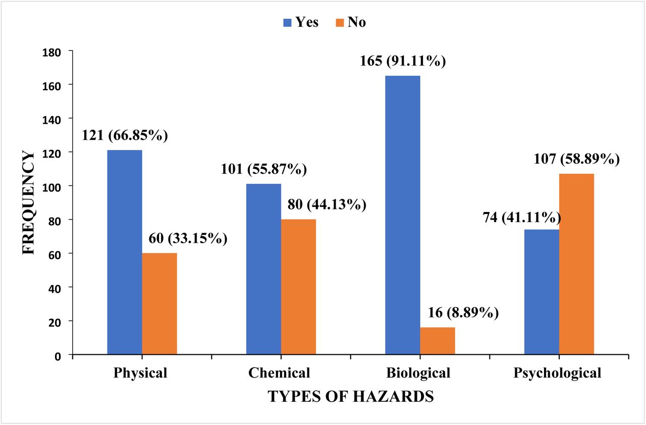 Types of Occupational Hazard faced by healthcare professionalsSource: Author’s Construct, 2024