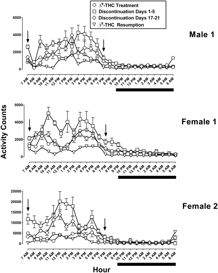 Absolute activity counts cumulated in 1-h bins and expressed for each h of the 24-h light/dark period.Each panel represents data from an individual monkey. Symbols are an average of 5 consecutive days including the 5 days immediately preceding discontinuation of Δ9-THC treatment (circles), the first and last 5 days of discontinued treatment (squares and diamonds, respectively), as well as the first 5 days of resumption of Δ9-THC treatment (triangles). The arrows indicate the time of Δ9-THC (1 mg/kg) or vehicle administration; vehicle was administered instead of Δ9-THC during the discontinuation phase. Below the abscissae the solid line denotes the dark period. Note the larger range of values on the ordinate of the lower panel as compared with the middle and top panels.