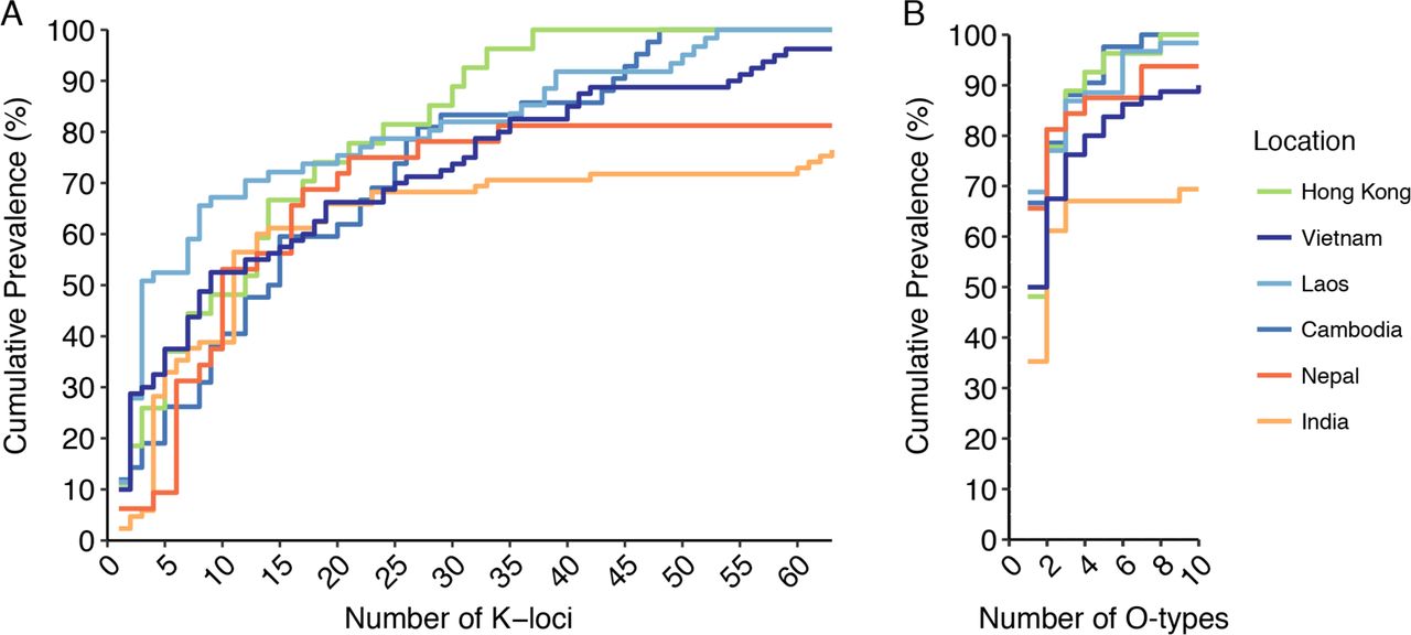 Cumulative K and O locus prevalence by location.A) Cumulative prevalence of K- loci ordered by mean prevalence across all locations (highest to lowest, see Table S3). B) Cumulative prevalence of predicted O-types ordered by mean prevalence across all locations (highest to lowest, see Table S4). Note that the Thai sampling site is excluded due to small sample size (n=4).
