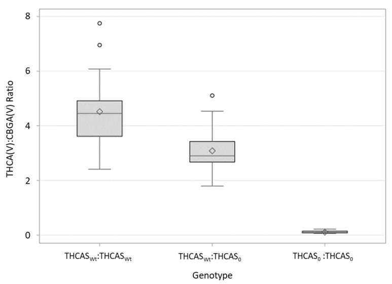 Distribution of THCA(V):CBGA(V) ratios in Cross FH, a selfed F2 population of 99 individuals resulting from an F1 cross between a Type I (THCA(V)-dominant) plant and a Type IV (CBGA-dominant) C. sativa plant. The arithmetic mean is indicated with a diamond. Whiskers indicate 1.5 × the inner quartile range and open circles are observations that fall outside of this parameter.