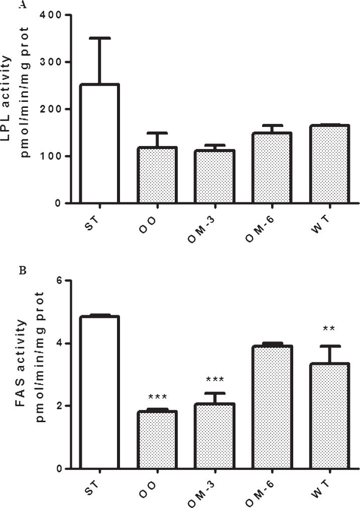 LPL (panel A) and FAS (panel B) enzymatic activity in adipose tissue from ApcMin/+ mice treated groups (ST = standard diet; OO = olive oil; OM-3 = omega-3 PUFAs; OM-6 = omega-6 PUFAs supplemented diet) and in the Wilde Type (WT) mice group. Data are presented as the mean±SE of ten animals for each group and expressed as pmol/min/mg total protein. **P < 0.03, ***P < 0.005 (one-way analysis of variance and Dunnett Post Test).