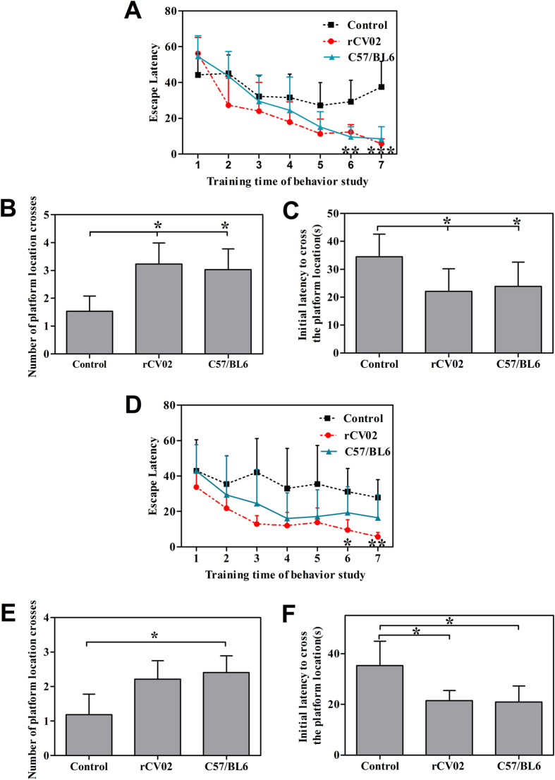 Vaccination with rCV02 improves cognitive performance in aged 3 × Tg-AD mice following prophylactic and therapeutic administration.3 × Tg-AD mice were immunized with rCV02 at 3 months (prophylactic; panels (A–C) or 12 months (therapeutic; panels D–F) of age and subjected to the Morris water maze test at 19 months and 21 months of age, respectively. Animals were tested daily for 7 days. (A,D) The mean escape latency (time) to reach the platform on days 1–7 of the water test during the training trials. (B,E) The mean number of platform location crosses during the probe trial after the last training trial. (C,F) Initial latency (time) to reach the platform location in probe trials after the last training trial. Data represent the mean ± SD for each group (n = 6–8). Statistically significant differences were determined by ANOVA. *p < 0.05, **p < 0.01, ***p < 0.001, compared with the control group (3 × Tg-AD).