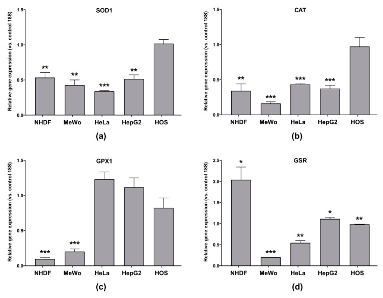 Gene expression of: (a) SOD1; (b) CAT; (c) GPX1; (d) GSR in normal dermal fibroblasts (NHDF), malignant melanoma (MeWo), adenocarcinoma (HeLa), hepatocellular carcinoma (HepG2) and osteosarcoma (HOS) cells treated with cell line-specific IC50 of CBD-enriched hemp oil for 48 h. Control cells were incubated with complete cell culture medium. Experiments were done in triplicate, obtained data were expressed as mean 2−ΔΔCq values (vs. 18S of control cells) ± standard error of the mean. * p < 0.05, ** p < 0.01, *** p < 0.001 vs. control cells (SOD1: NHDF p = 0.003067, MeWo p = 0.001484, HeLa p < 0.000001, HepG2 p = 0.001186, HOS p = 0.796912; CAT: NHDF p = 0.002620, MeWo p = 0.000004, HeLa p < 0.000001, HepG2 p = 0.000146, HOS p = 0.821580; GPX1: NHDF p = 0.000002, MeWo p = 0.000027, HeLa p = 0.057635, HepG2 p = 0.337276, HOS p = 0.267738; GSR: NHDF p = 0.019436, MeWo p < 0.000001, HeLa p = 0.001320, HepG2 p = 0.026340, HOS p = 0.006656).