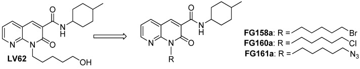 Design of the novel 1,8-naphthyridin-2(1H)-one-3-carboxamide derivatives.