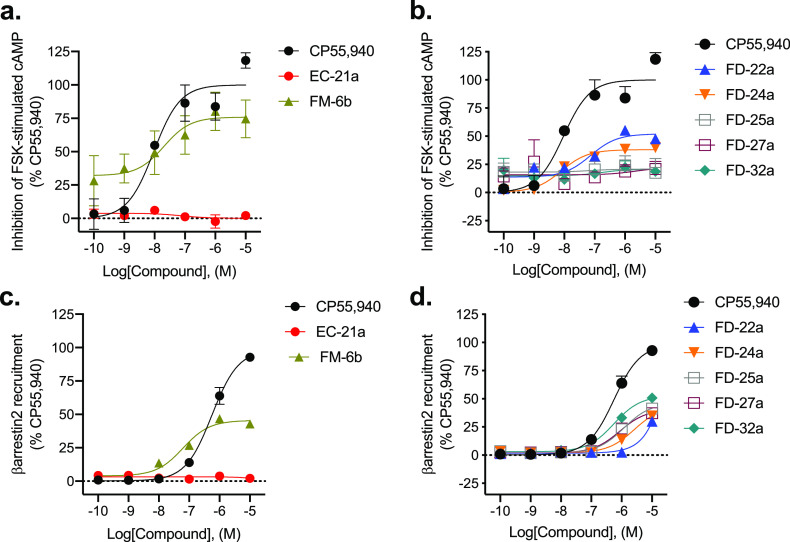 CB2R-dependent inhibition of FSK-stimulated cAMP and CB2R-dependent recruitment of βarrestin2. CHO cells stably expressing hCB2R were treated with 0.10 nM–10 μM compounds for 90 min, and cAMP inhibition (a,b) or βarrestin2 recruitment (c,d) was measured. cAMP and βarrestin2 recruitment data are expressed as the % CP55,940 response. Data were fitted to a nonlinear regression (three-parameter model, GraphPad v. 9.0). Data are mean ± S.E.M. of 6 independent experiments performed in triplicate. Data from these graphs is presented in Table 1. Statistical data for these graphs are presented in Table S1.