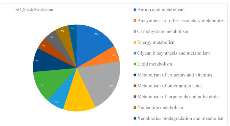 Molecular functions stored in the KO (KEGG Orthology) database containing orthologs of experimentally characterized genes/proteins in the reference genome of Cannabis sativa.