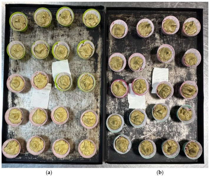 Preparation stage of muffin samples supplemented with different concentrations of hemp flour (HF). Each tray corresponds to a different base flour formulation: (a)—WF, and (b)—WWF.