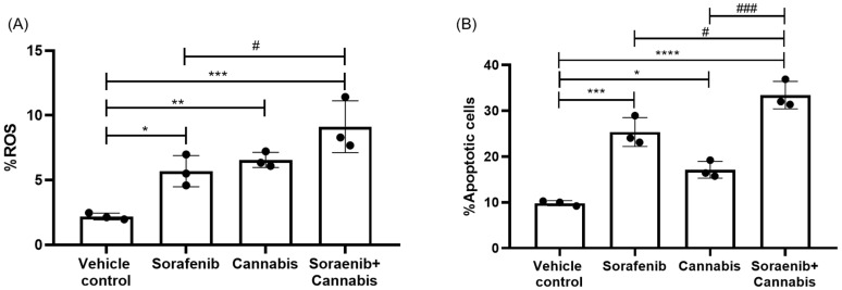 Functional assays assessing (A) reactive oxygen species (ROS) generation and (B) apoptosis in HepG2 cells following treatment with sorafenib alone, cannabis alone, or their combination. Fluorescently stained cells were quantified by flow cytometry and expressed as percentages. Data are presented as mean ± SD (n = 3). Statistical significance is indicated as * p ≤ 0.05, ** p ≤ 0.01, *** p ≤ 0.001, and **** p ≤ 0.0001 versus vehicle control, and # p ≤ 0.05 and ### p ≤ 0.001 versus the corresponding single-treatment groups.