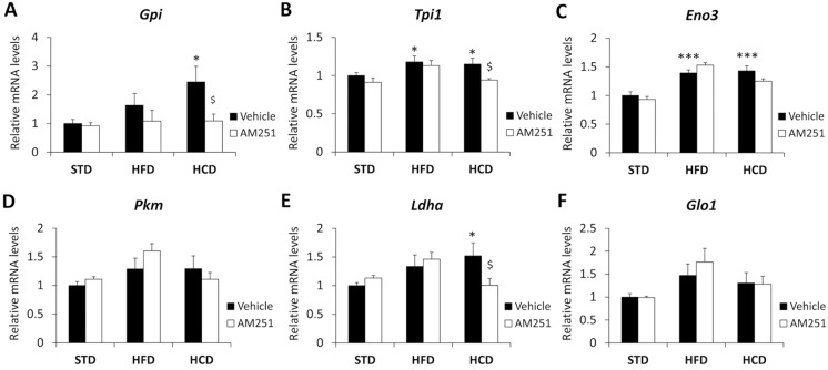AM251 regulates the gene expressions of glucose/pyruvate-metabolizing enzymes.AM251 effects on the gene expressions of Gpi, Tpi1, Eno3, Pkm, Ldha and Glo1 in the abdominal muscle of STD, HFD and HCD-fed rats. Bonferroni’s test (n = 8): *P<0.05, ***P<0.001 vs. STD-vehicle; $ P<0.05 vs. HCD-vehicle.