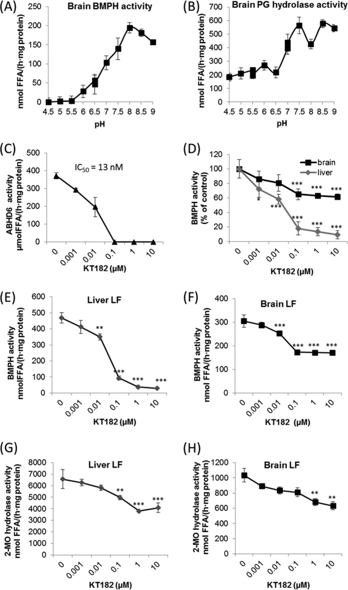 BMP is resistant to lysosomal hydrolases and degraded efficiently in the slightly alkaline pH range in a process involving ABHD6. A and B, pH dependence of (A) BMP and (B) PG hydrolase activity of brain lysates. Degradation of BMP(S,S) and PG (2 mm each) was monitored between pH 4.5 and 9.0 as described in Fig. 1D. C, inhibition of BMPH activity of purified ABHD6 by KT182 using BMP(S,S) as substrate. D, inhibition of brain and liver BMPH activity by KT182. E and F, inhibition of BMPH activity by KT182 in LF of liver and brain. LF were purified as described in Fig. 2B. G and H, inhibition of MG hydrolase activity in LF of liver and brain by KT182. C—H, activity assays were performed at pH 8.0 using BMP(S,S) and 2-monoolein (2-MO) as substrate (2 mm each). Data are presented as mean ± S.D. and represent at least three independent experiments. *, p < 0.05; **, p < 0.01; ***, p < 0.001; analysis of variance.