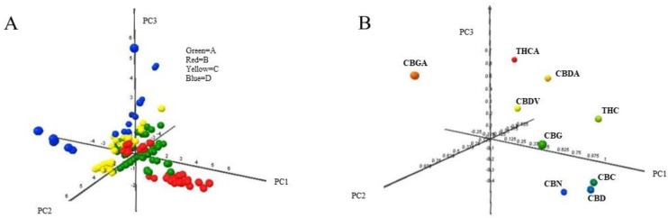 Scores plot (A) and loadings plot (B) obtained from the PCA on the matrix data of the 161 hemp samples (in the matrix rows) and the nine cannabinoids analyzed (the matrix columns). Plots of the first three components (explained variance: PC1 = 42.7%; PC2 = 15.8%; PC3 = 14.9%; total = 73.4%). Data have been auto-scaled (zero mean and unitary variance) before PCA. The four Hemp retailers are marked with different colors: Green = A; Red = B; Yellow = C; Blue = D.