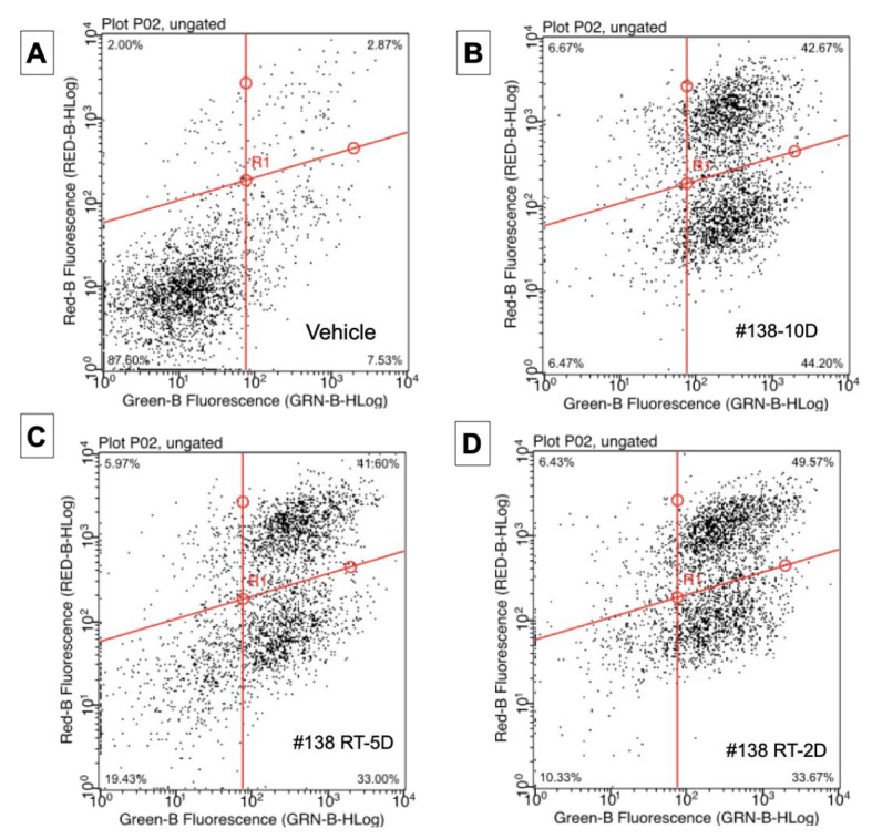 Apoptosis induced by ethanolic extracts on AsPC-1 pancreatic cancer cells. Cells were treated with 80 µg/mL of each extract for 24 h, then analyzed by capillary cytometry (annexin-V and PI staining). Dot plots (A) vehicle, (B) extract #138-10D (C) extract #138 RT-5D (D) extract #138-2D, with % of living cells (bottom left annexin-V ⊖, IP ⊖), early and late apoptosis (right column: annexin-v ⊕, early IP⊖ or late IP ⊕) and cells in necrosis (top left: annexin-v ⊖, IP ⊕).