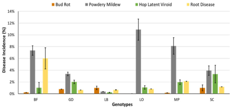 Comparison of disease incidence on six cannabis genotypes to four pathogens, demonstrating variation in susceptibility to B. cinerea bud rot, powdery mildew, hop latent viroid and Pythium or Fusarium root diseases. Incidence data were obtained from scouting of crops conducted during the cultivation of batches of genotypes in comparable greenhouse compartments over three production cycles in the summer season. Disease incidence was assessed based on visual symptoms. Genotype LB shows low susceptibility to all pathogens, while genotypes LO and MP are highly susceptible to powdery mildew.
