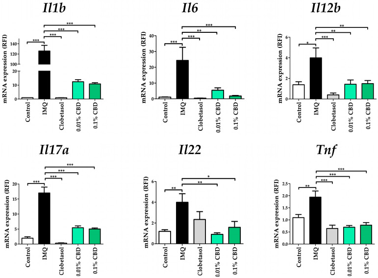 Expression of mRNA levels resulting from CBD treatment in a psoriasis mouse model. Effects of CBD on Il1b, Il6, Il12b, Il17a, Il22, and Tnf mRNA expression in a psoriasis mouse model. Total RNA was extracted and analyzed via quantitative real-time PCR. Each gene’s expression was normalized to Actb expression. Data are presented as mean ± SEM values from five mice. Statistical significance was indicated as * p < 0.05, ** p < 0.01, and *** p < 0.001 compared to the Control group or the IMQ group. CBD, cannabidiol; IMQ, imiquimod; SEM, standard error of the mean.