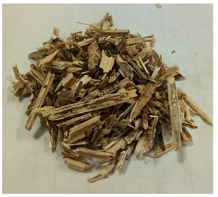 Hemp shives originating from the Bialobrzeskie hemp variety. (Source: own photo).