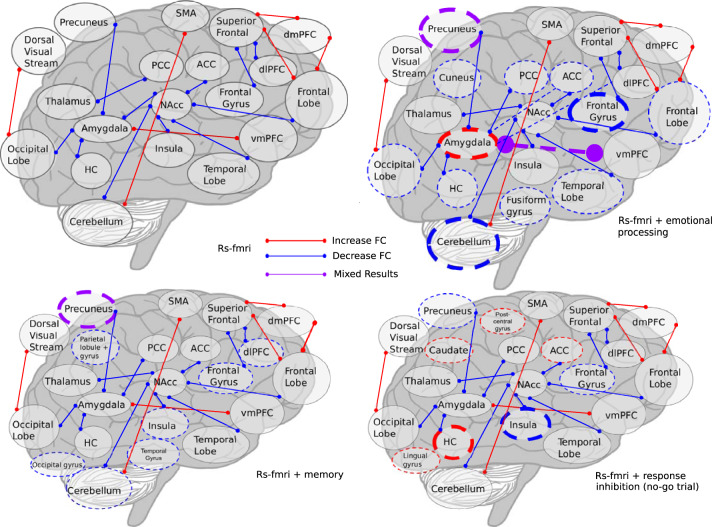 Visualization of fMRI results with er fMRI superimposed on rs fMRI.a rs fMRI results, b rs and er fMRI results; emotional processing tasks, c rs and er fMRI results; memory tasks, d rs and er fMRI results, no-go trials from response inhibition. Thin lines indicate results from one study. Thick lines indicate results from two. Solid lines indicate rs fMRI, dashed indicate resting state. Colored circles demarcate “activity” lines indicate “connectivity”.
