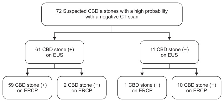 Suspected common bile duct (CBD) stones with a negative computed tomography scan. Patients with a high probability of choledocholithiasis; 60 of 72 patients (83.3%) had CBD stones, and endoscopic ultrasonography (EUS) indicated choledocholithiasis in 59 of 60 patients (98.3%).