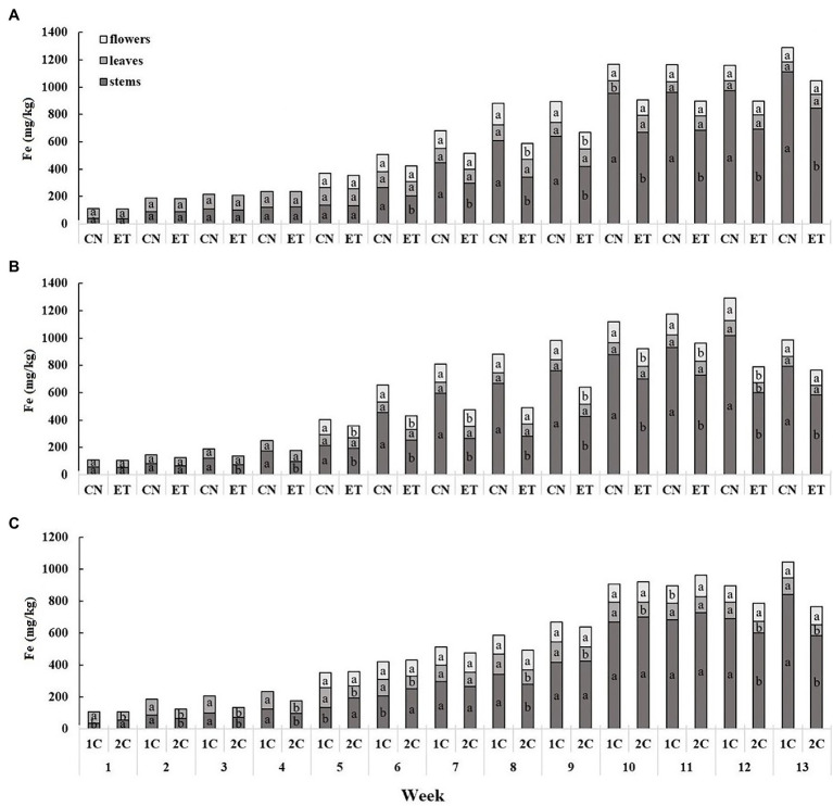 Distribution of iron among the organs of medical cannabis plants as affected by amino acid (AA) supplementation and nutrient cycle. Fe concentration in control (CN) and enhanced treatment (ET) plants with AAs nutritional supplements in recirculation (1C) growing cycle (A), in drain-to-waste (2C) growing cycle (B), ETs in 1C and 2C (C) in stems, leaves, and flowers. Data are means ± SE (n = 3). The different small letters inside the bars represent significant differences within the medical cannabis plant organs (stems, leaves, and flowers) between the variants in a particular week according to Tukey’s HSD test at α = 0.05.