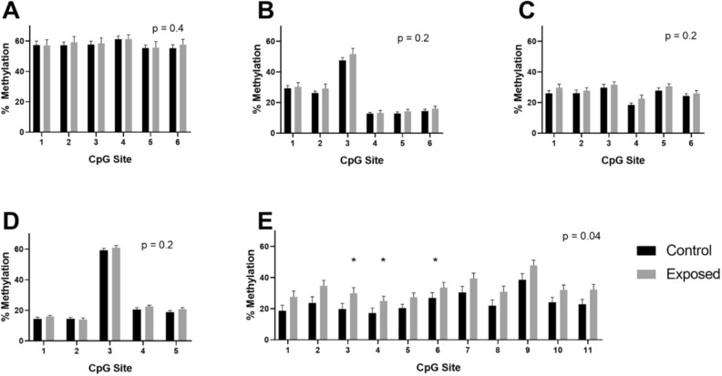 Pyrosequencing results for F0 control (black, n = 9) versus THC-exposed (gray, n = 7) sperm in Adora2a (A), Cbx6 (B), Hipk4 (C), Mag (D), and Por (E). Mean and standard error of the mean (SEM) are graphed. The x axis shows results for the CpG sites of interest in each gene, while the y axis shows methylation measured. Overall p values represent the results from one-tailed student’s t test of the mean of the methylation across all CpG sites measured in the exposed versus unexposed groups. *One-tailed t test p < 0.05.