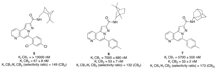 Structure of representative pyrazolo(5,1-f)(1,6)naphthyridine-based derivatives (5–7). Affinities at CB1 and CB2 receptors were assessed by competition of (3H)-CP 55,940 in transfected human CB1 and CB2 CHO cells [79].