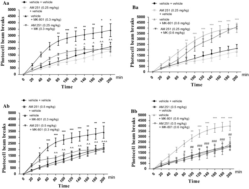 Effect of AM 251 on MK-801-induced hyperactivity in mice. Non-effective dose of AM 251 (0.25 mg/kg; ip) or vehicle was administered 15 min prior to vehicle or effective: (0.3 mg/kg; ip) (Aa) and (0.6 mg/kg; ip) (Ba) MK-801 injection. Similarly, non-effective dose of AM 251 (0.5 mg/kg; ip) or vehicle were administered 15 min prior to vehicle or effective: (0.3 mg/kg; ip) (Ab) and (0.6 mg/kg; ip) (Bb) MK-801 injection. After the last injection, the mice were then tested in actimeters; n = 8–12; the mean ± SEM; *p < 0.05; **p < 0.01; ***p < 0.001 vs. vehicle/vehicle-treated group; ^p < 0.05; ^^p < 0.01; ^^^p < 0.001 vs. vehicle/MK-801(0.3 mg/kg)-treated mice; # p < 0.05; ## p < 0.01; ### p < 0.001 vs. vehicle/MK-801(0.6 mg/kg)-treated mice Bonferroni’s test