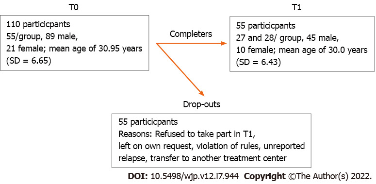 Characteristics of participants at each time point (T0 and T1).