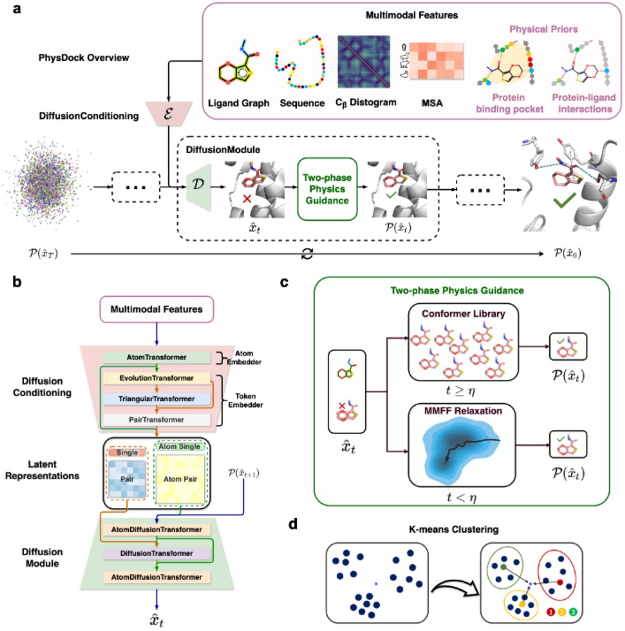 (a) Overview of PhysDock’s architecture. The multimodal features, including ligand graphs, protein sequence features, backbone Cβ distance-gram, MSA features and physical priors on protein-ligand interactions, are encoded by the DiffusionConditioning module. Subsequently, in each denoising step within the DiffusionModule, represented by the dashed box, the denoised molecule structure undergoes a two-phase physics guidance to enforce physical plausibility. After T sampling steps, PhysDock generates protein-ligand complex structures from pure noise. (b) Network architecture of PhysDock. (c) Two-phase physics guidance in stepwise denoising. The denoised ligand structure is projected using either a pre-computed conformer library or molecular mechanics force field relaxation determined by an adaptive factor η. (d) K-means clustering to identify optimal representative structures. All sampled complexes are clustered based on PAL-RMSD as the distance metric between sample points, with the sample closest to the center of each cluster is selected as the representative structure. These representatives are then ranked based on their proximity to the global centroid of all samples.