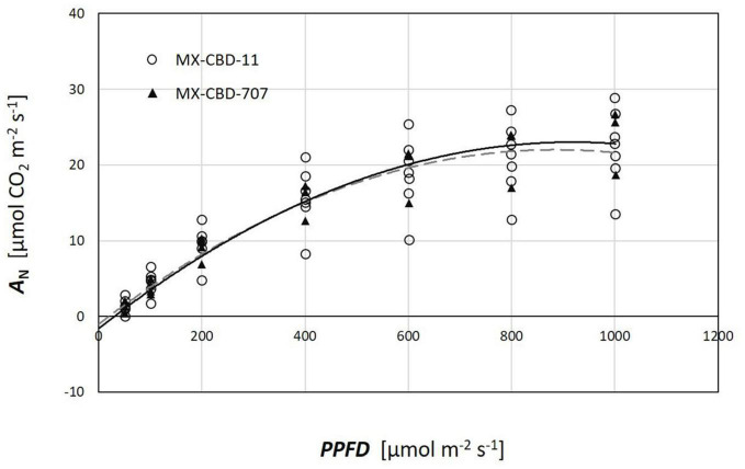 Photosynthetic light response (AQ) curves of two breeding populations of medical cannabis: MX-CBD-11 and MX-CBD-707. The data points indicate measurements on individual plants (5 plants of each population).