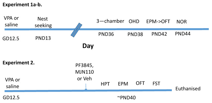 Schematic of the experimental design for the behavioural characterisation of male and female rats prenatally exposed to saline or VPA (experiment 1a–b) and examining the effect of enhancing AEA and 2-AG tone on nociceptive and affective behaviour in VPA-exposed female rats (experiment 2).