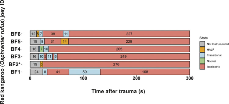 Characteristics of electroencephalogram (EEG) waveforms in individual red kangaroo (Osphranter rufus) joeys euthanased by blunt force trauma (time-point 0). Light grey bars represent periods when no data were collected due to joeys not being instrumented; blue transitional EEG; pink isoelectric EEG; orange high amplitude low frequency (HALF); and green bars representing normal-like active EEG (non-complete concussion). *BF2 was hit twice, 0 denotes the point of the first hit. Numbers within bars represent duration of the EEG states (in s).