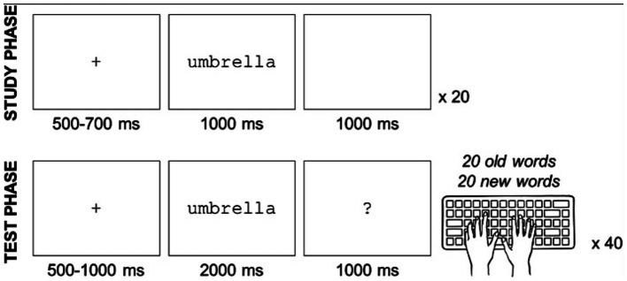 Diagram illustrating a memory study experiment with two phases: study and test. In the study phase, a fixation cross is shown for 500 to 700 milliseconds, followed by the word "umbrella" for 1000 milliseconds, repeated twenty times. In the test phase, a fixation cross appears for 500 to 1000 milliseconds, followed by a word for 2000 milliseconds, then a question mark for 1000 milliseconds, repeated forty times. The test includes twenty old words and twenty new words, with responses typed using a keyboard.