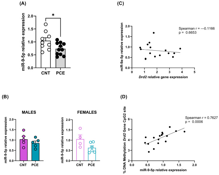 miR-9-5p expression levels in the PFC of the combined study samples (A) and male and female rats (B), correlation between Drd2 and miR-9-5p relative expression (C) and between miR-9-5p relative expression and Drd2 DNA methylation levels at CpG2 site (D). miRNA expression data are reported as 2−ΔΔCt values calculated by the Delta–Delta Ct (ΔΔCt) method versus CNT. Expression was normalized to U6. Data are reported as the mean ± SEM (n = 9–11 rats/group, combined population; n = 5 rats/group, male rats; n = 4–6 rats/group, female rats). Significant differences are indicated: Mann–Whitney Test * p < 0.01 vs. CNT. For correlation, data were compared by Spearman’s rank correlation coefficient.