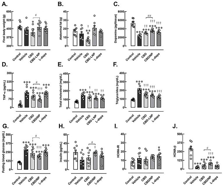 Changes of physical and biochemical profiles after 4 weeks of vehicle, CBD, CBD lipid nanoparticles (CBD-LNP), or levodopa (L-dopa) treatments in diabetic Parkinson’s disease (DP) rats as determined by neuroinflammatory and metabolic biomarkers. (A) Final body weight, (B) abdominal fat weight, (C) striatal dopamine, (D) proinflammatory TNF-α, (E) total cholesterols, (F) triglycerides, (G) fasting blood glucose, (H) insulin, (I) HOMA-IR (Homeostatic Model Assessment for insulin resistance), and (J) HOMA-β (Homeostatic Model Assessment estimates steady state beta cell function). Data are presented as mean ± SEM (n = 8 rats/group). * p < 0.05, ** p < 0.01, *** p < 0.001 compared to control, † p < 0.05, †† p < 0.01, ††† p < 0.001 compared to vehicle treated-DP group and # p < 0.05, ## p < 0.01 compared to CDB treated-DP group.