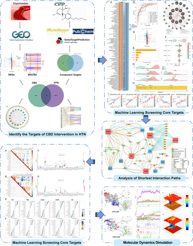 Flow-chart of dataset analysis in this paper