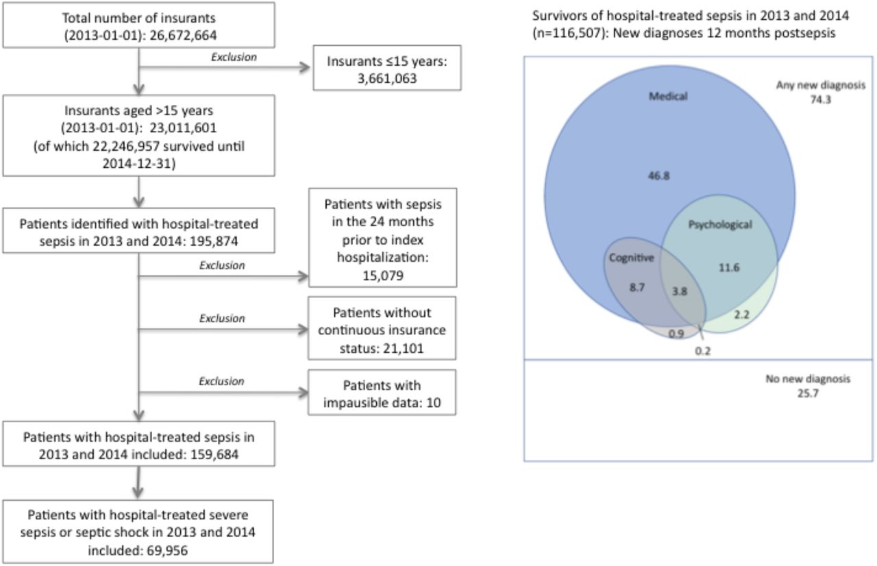 A) Flow of cohort, B) Postsepsis morbidity by domains and co-occurrence, in percent of survivors. This EulerDiagram shows the proportion of survivors with new medical, cognitive, or psychological diagnoses in the first year. 74.3% had a new diagnosis in at least 1 domain, 20.6% had new diagnoses in at least 2 domains, and 25.7% had no new diagnosis.