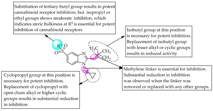 SARs of 5-sulfamoyl substituted benzimidazoles.