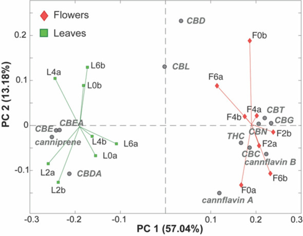 PC1/PC2 biplot of the PCA model of the LC-MS phytocannabinoids data. Samples are colored according to their origin. Leaf samples (green squares), flower samples (red diamonds), measured phytocannabinoids (gray circles).