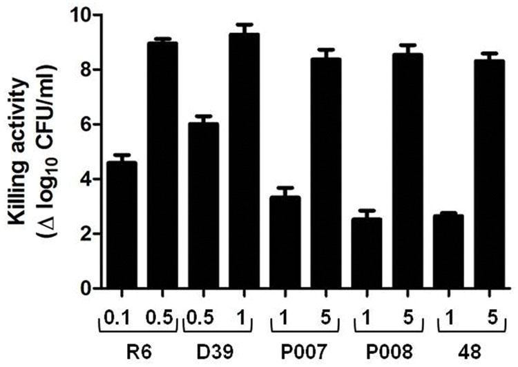 Bactericidal activity of PL3 against pneumococcal strains. Exponentially growing cultures were washed, resuspended in PB containing 100 mM NaCl and 10 mM DTT (pH 6.8), and treated with different concentrations of PL3 for 60 min at 37°C. Then, viable cells were measured and killing value was calculated as the decrease of bacterial titers, in log units, compared to PL3-untreated control. Protein concentrations (μg/ml) are indicated in the x-axis. Error bars represent standard deviations and differences in activity values are statistically significant (P < 0.05).