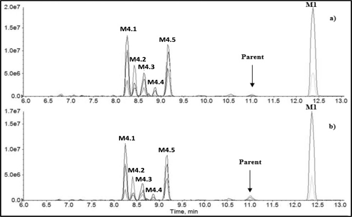 Extracted chromatogram of APP-CHMINACA and the principal metabolites identified after 1 h by the incubation with MLM a and HLM b. APP-CHMINACA distal amide hydrolysis (M1), distal amide hydrolysis and mono-oxidation (CHM) (M4.1–5)