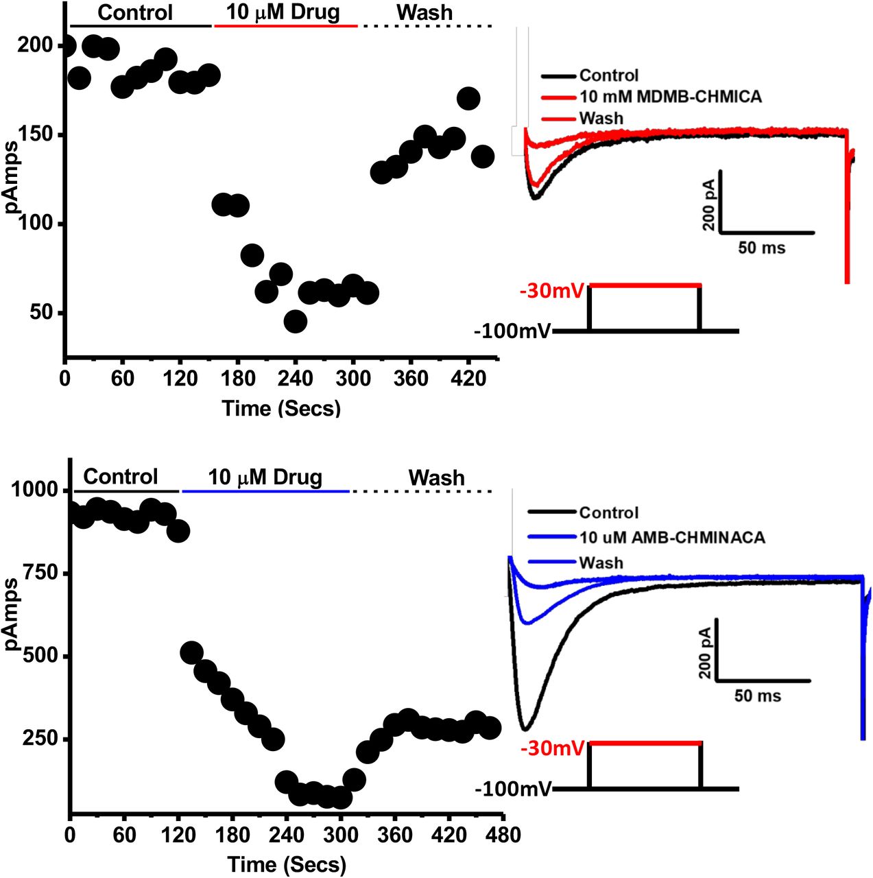 Representative time course of hCav 3.2 current inhibition by MDMB-CHMICA and AMB-CHMINACAUsing the same step voltage protocol (inset) and same drug concentration (10 μM) as the Ephys screening assay, time course of hCav3.2 inhibition was recorded followed by washout. Both drugs rapidly blocked hCav3.2, however MDMB-CHMICA (Red) block was almost completely reversed on washout whereas AMB-CHMINACA (Blue) washout was <30%. Right panels are current traces from the endpoint of control, drug and wash.