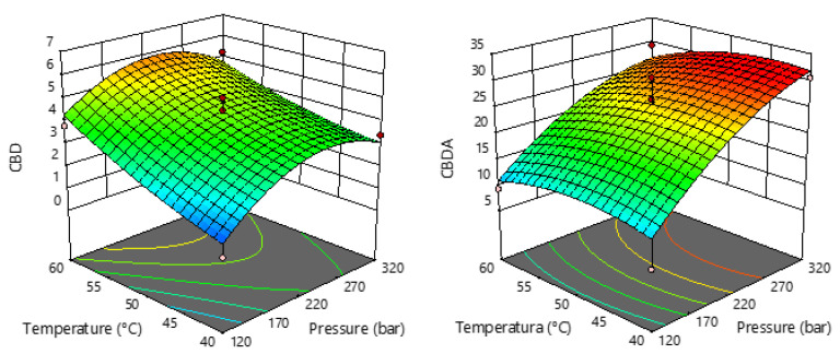 Response surface plots showing the effects of temperature and pressure on CBD and CBDA.