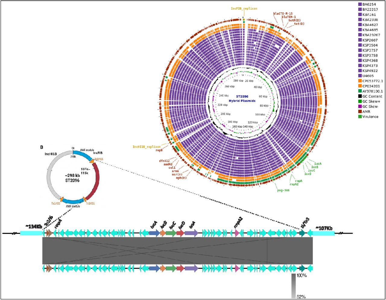 Comparative structural analysis of IncHI1B–IncFIB hybrid virulence–resistance plasmids identified in ST2096 isolates.(A) Circular alignment of representative hybrid plasmids from ST2096 isolates in this study (n = 15) compared with previously reported reference plasmids retrieved from GenBank (CP053772.1, CP034201.1, and AY378100.1). Rings from outer to inner circles represent plasmids from the study isolates followed by the reference plasmids. Conserved backbone regions, virulence-associated loci (iucABCD-iutA, rmpA/rmpA2, peg-344), antimicrobial resistance determinants, GC content (black), and GC skew (green and magenta) are shown.(B) Linear synteny comparison of representative ST2096 hybrid plasmids generated using EasyFig, illustrating the conserved plasmid backbone with variable insertion and rearrangement regions associated with virulence and antimicrobial resistance modules.